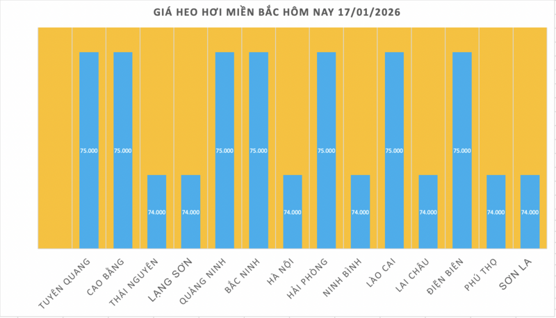 Giá heo hơi hôm nay 17/1/2026: Bất ngờ quay đầu giảm mạnh - 1