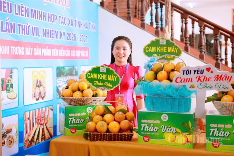 Sản phẩm Cam Khe Mây đến từ Hà Tĩnh sẵn sàng "chào sân" tại Hội chợ Mùa Xuân 2026. Ảnh: Nhân vật cung cấp