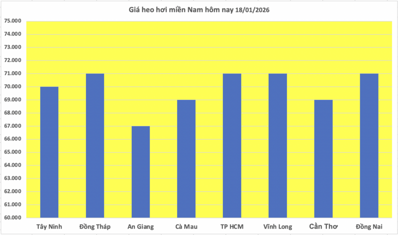 Giá heo hơi hôm nay 18/1/2026: Duy trì ổn định - 3