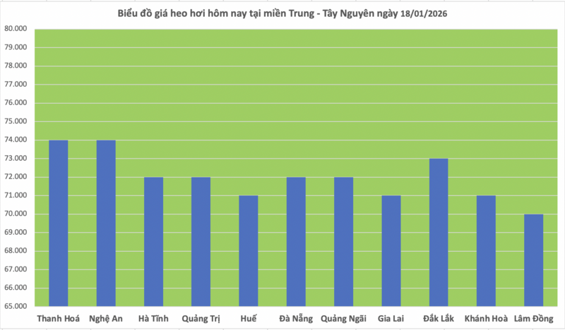 Giá heo hơi hôm nay 18/1/2026: Duy trì ổn định - 2