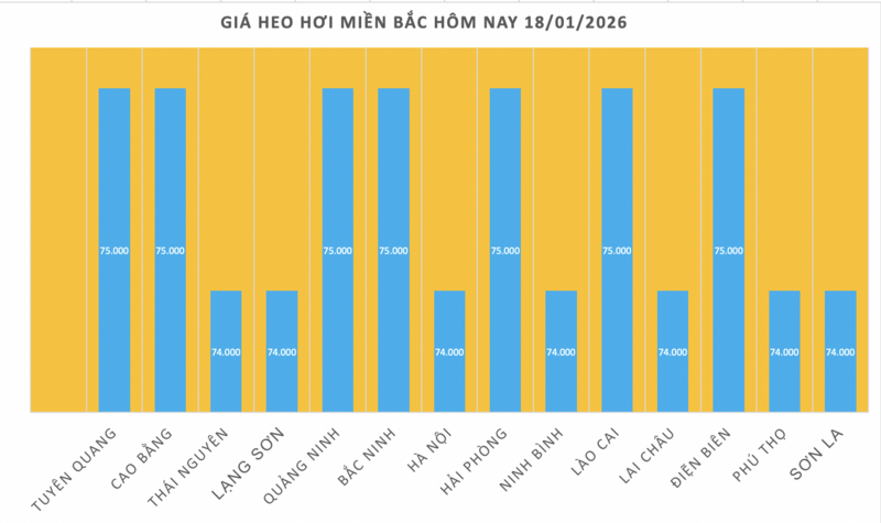 Giá heo hơi hôm nay 18/1/2026: Duy trì ổn định - 1