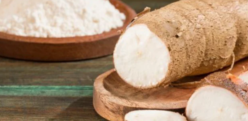 Thị phần của Việt Nam trong tổng nhập khẩu tinh bột sắn của Trung Quốc tăng mạnh từ 39,93%, lên 49,84% trong 11 tháng năm 2025. Ảnh minh họa