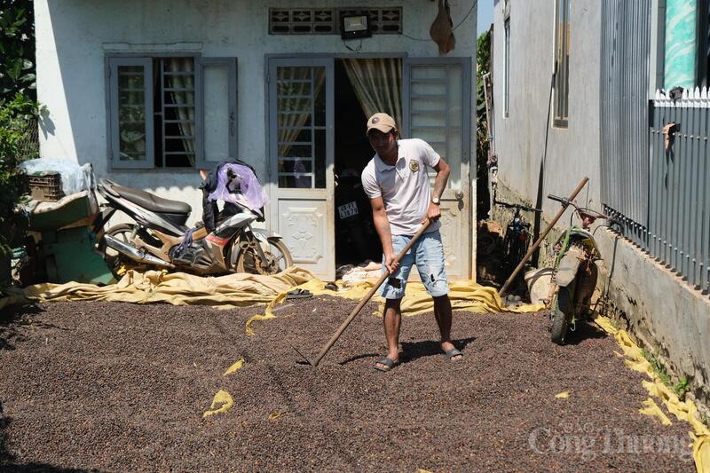 Trong nhiệm kỳ 2025 - 2030, tỉnh Lâm Đồng phấn đấu GRDP tăng 10 - 10,5%/năm, thu nhập bình quân đầu người đạt 6.700 - 7.500 USD/năm. Ảnh: Lê Sơn