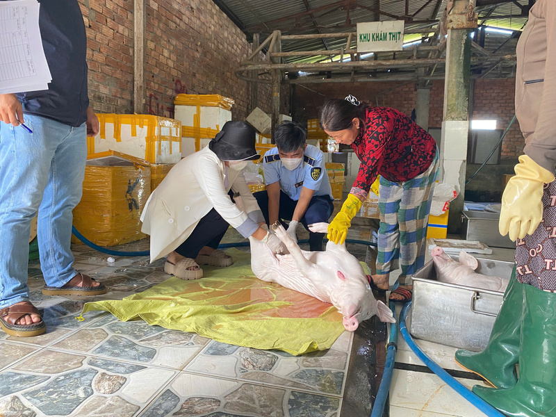 Lực lượng Quản lý thị trường tỉnh Quảng Ngãi cũng đồng loạt ra quân để kiểm tra, kiểm soát tình hình. Ảnh: Nguyễn Dương