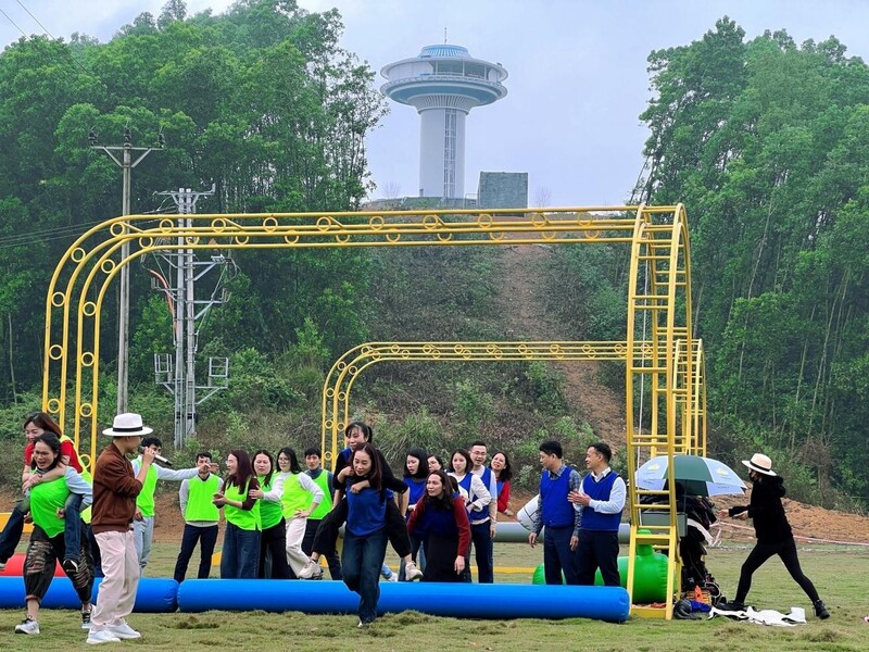 Team building rộn ràng giữa thiên nhiên, bùng nổ năng lượng và tinh thần đồng đội.