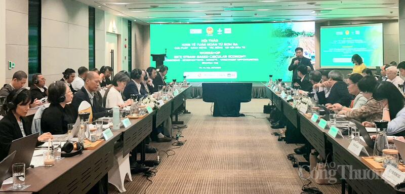 Hội thảo quốc tế “Kinh tế tuần hoàn từ rơm rạ: đổi mới, hành động, tác động và cơ hội đầu tư (RiceEco 4Is)”. Ảnh: N.H