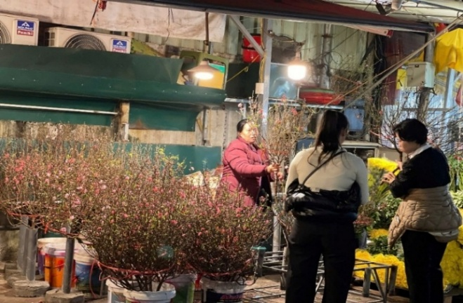 Cành đào truyền thống, đào huyền với kích thước nhỏ bắt đầu được bày bán tại góc chợ quen thuộc. Ảnh: Mai Linh