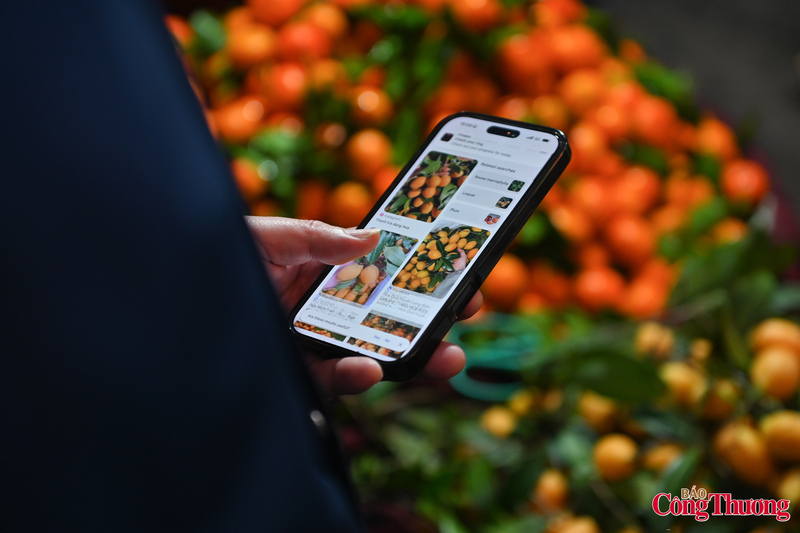 Tại các quầy trái cây tươi, các tiểu thương cho biết, trái cây được nhập từ các tỉnh vùng núi phía Bắc. Theo ghi nhận chung, tình hình cung ứng hàng hóa trong ngày 21/1 ổn định, hàng hóa đa dạng, giá cả được niêm yết và bán đúng theo quy định.