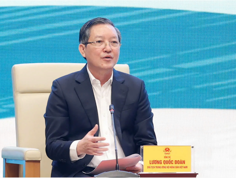 Đồng chí Lương Quốc Đoàn, Ủy viên Trung ương Đảng, Chủ tịch Ban Chấp hành Trung ương Hội Nông dân Việt Nam cho biết: Trong 5 năm gần đây, số hộ có thu nhập trên 1 tỷ đồng/năm tăng gấp 2 lần so với giai đoạn 5 năm trước. Nhiều nông dân có doanh thu hàng chục tỷ đồng, dần hình thành sắc thái lớp người nông dân chuyên nghiệp. Ảnh: DV