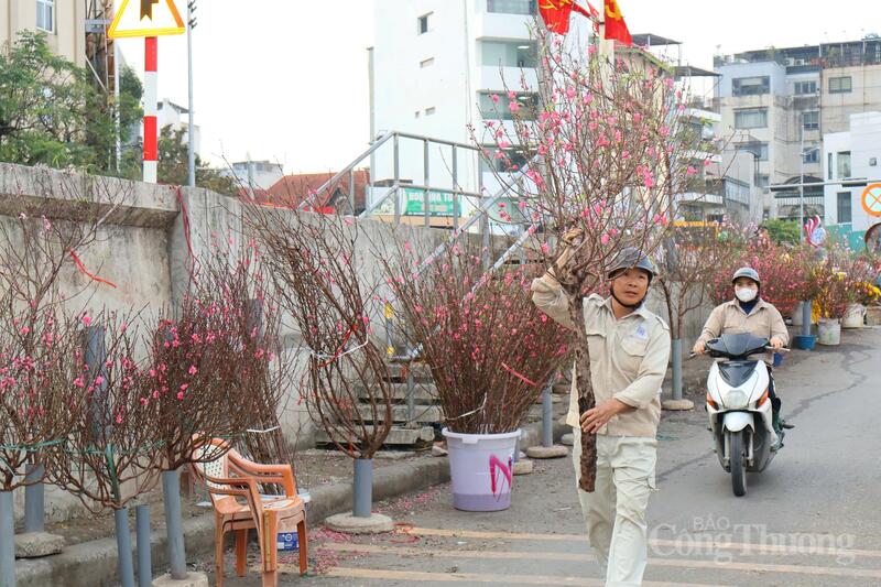 Chùm ảnh: Hà Nội rực rỡ sắc đào những ngày tháng Chạp  - 3