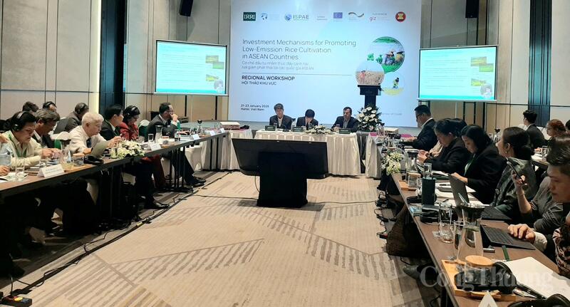 Toàn cảnh Hội thảo “Cơ chế đầu tư nhằm thúc đẩy canh tác lúa giảm phát thải tại các quốc gia ASEAN”. Ảnh: N.H