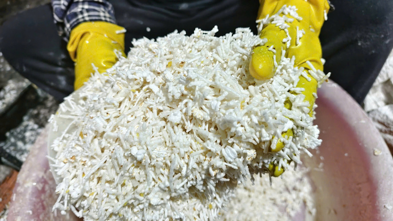 Từ nếp rang, đường, gừng... tạo nên hương vị đặc trưng của bánh nổ ở Quảng Ngãi. Ảnh: Nguyễn Dương