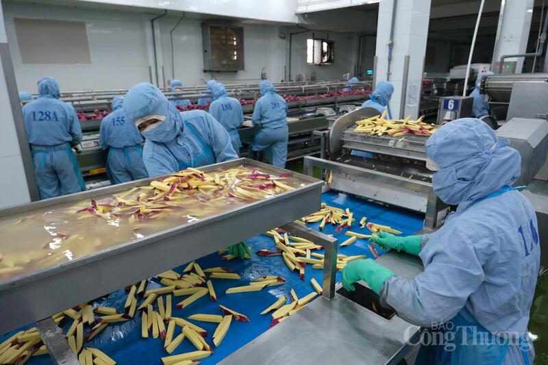 Công ty Cổ phần Viên Sơn xây dựng được chuỗi liên kết vùng nguyên liệu bền vững với bà con nông dân tại các tỉnh Tây Nguyên như Gia Lai, Đắk Lắk, Lâm Đồng. Ảnh: Lê Sơn