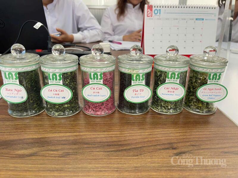 Công ty TNHH cung ứng nông nghiệp Lâm Đồng (Khu công nghiệp Phú Hội) xuất khẩu rau, củ sấy khô sang thị trường Nhật Bản. Ảnh: Lê Sơn