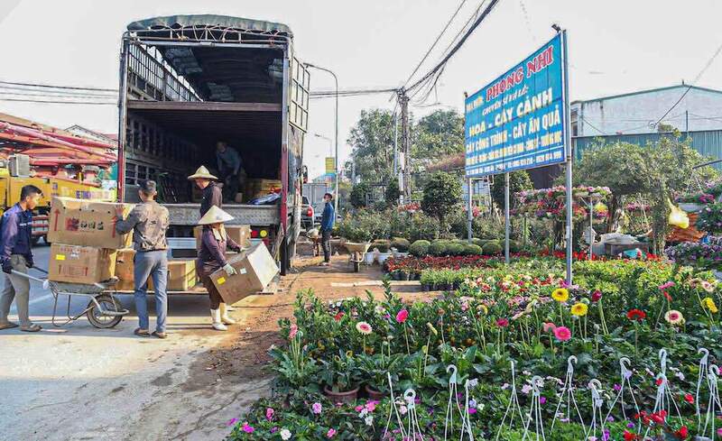 Các làng hoa, cây cảnh cũng nhộn nhịp chuẩn bị hàng Tết. Ảnh: Mai Liễu