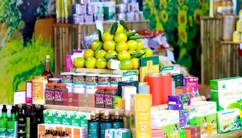 Nghệ An đa dạng đặc sản địa phương, các sản phẩm OCOP. Ảnh: Mai Liễu