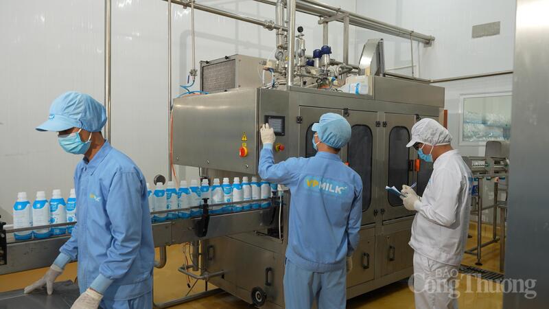 Các công nhân kiểm tra quy trình đóng gói tại Nhà máy VP ECO Milk. Ảnh: Lê Sơn
