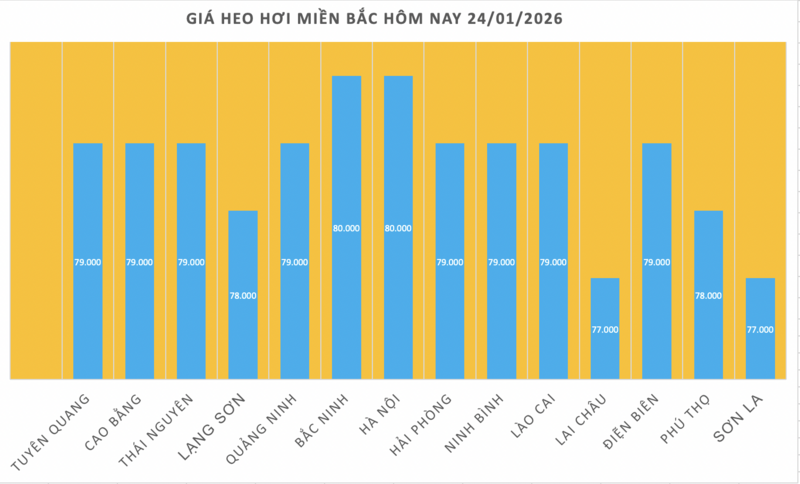 Giá heo hơi hôm nay 24/1/2026: Chạm mốc 80.000 đồng/kg - 1