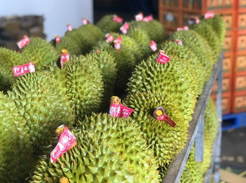 Xuất khẩu rau quả Việt Nam được sẽ tiếp tục thuận lợi và duy trì đà tăng trưởng vào năm 2026, hướng đến mục tiêu kim ngạch xuất khẩu đạt 9 - 10 tỷ USD. Ảnh minh họa