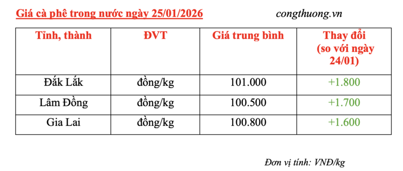 Giá cà phê hôm nay 25/1/2026: Đảo chiều tăng mạnh 1.600-1.800 đồng/kg - 4