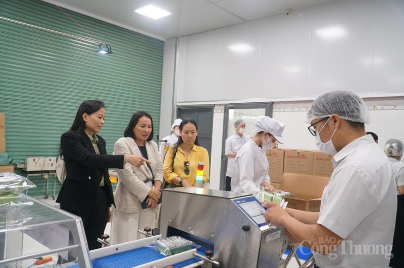 Doanh nghiệp sản xuất tại TP. Đà Nẵng kỳ vọng những cơ chế cởi mở hơn về thủ tục xuất khẩu, đồng thời khẳng định nỗ lực chủ động thích nghi để góp sức cùng cả nước thực hiện thắng lợi các mục tiêu Nghị quyết Đại hội XIV đề ra.