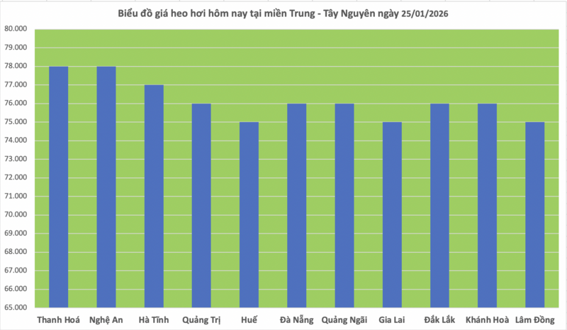 Giá heo hơi hôm nay 25/1/2026: Tiếp tục neo cao - 2