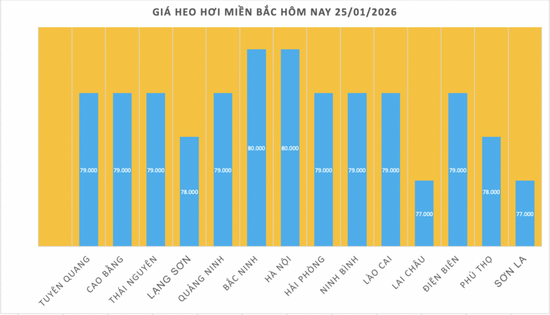 Giá heo hơi hôm nay 25/1/2026: Tiếp tục neo cao - 1