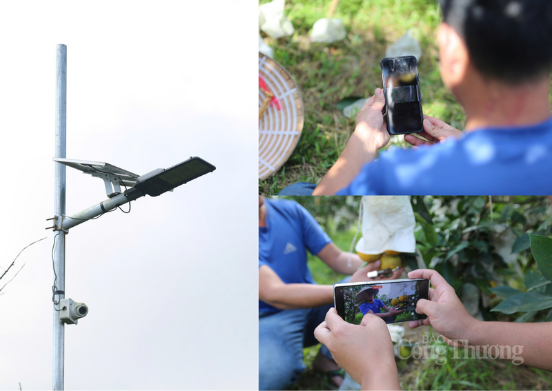 Mô hình lắp camera thông minh ngay tại vườn được phổ biến ở Hà Tĩnh. Ảnh: Trọng Tùng
