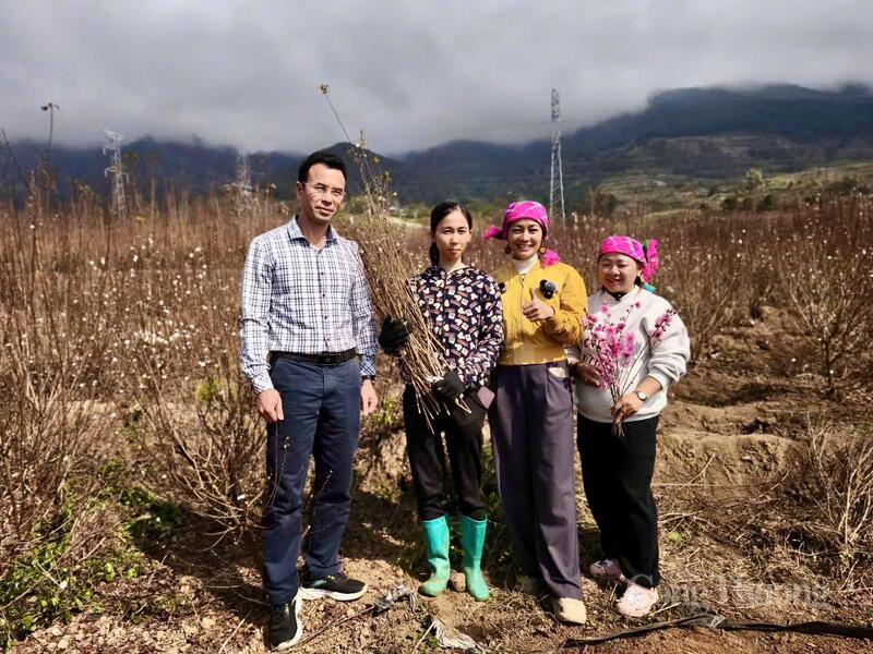 Ông Nguyễn Bá Kiện, Phó Chủ tịch HĐND xã Bình Lư cùng với chủ vườn và các TikToker chia sẻ về cây nhất chi mai  trong chiến dịch “Tết ta ba miền – Chở xuân về nhà”.