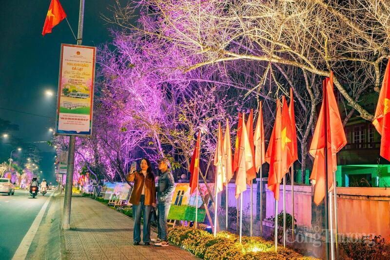 Du khách "check-in" đường hoa và cờ Tổ quốc.