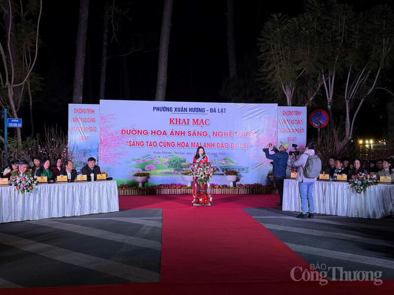 Khai mạc chương trình “Đường hoa ánh sáng, nghệ thuật” với chủ đề “Sáng tạo cùng hoa mai anh đào Đà Lạt”. Ảnh: Lê Sơn