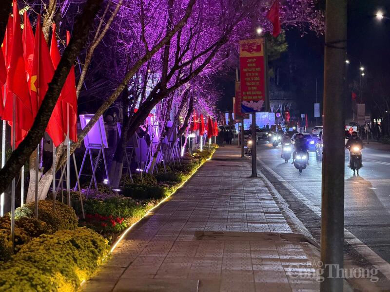 Các tác phẩm được trưng bày dọc tuyến đường mai anh đào Trần Hưng Đạo, ngay dưới những tán hoa đang nở rộ.