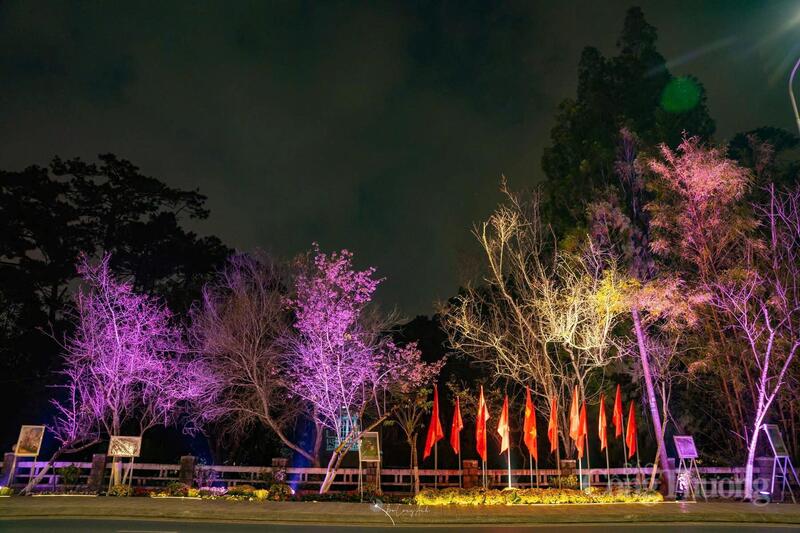 Không chỉ làm nổi bật vẻ đẹp của hoa mai anh đào và các tác phẩm nghệ thuật, những lá cờ còn góp phần lan tỏa tinh thần yêu nước, khơi dậy niềm tự hào dân tộc trong lòng người dân và du khách khi dạo bước trên cung đường hoa giữa lòng Đà Lạt.