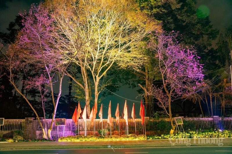 Hơn 300 lá cờ Tổ quốc được thiết kế thành các cụm cờ trang trọng.