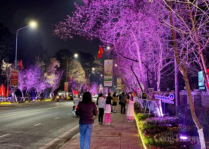 Những cung đường thơ mộng thu hút rất nhiều người dân và du khách.