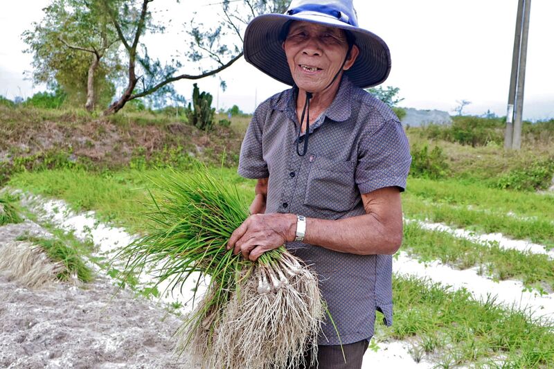 Ông Nguyễn Hữu Trí vui mừng vì năm nay thu về hơn 20 triệu đồng cho 2 sào kiệu. Ảnh: Diễm Phúc