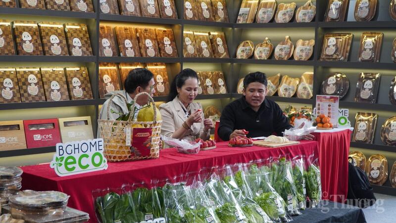 Kích thích sự quan tâm và yêu thích của công chúng thông qua các nhân vật có sức ảnh hưởng.