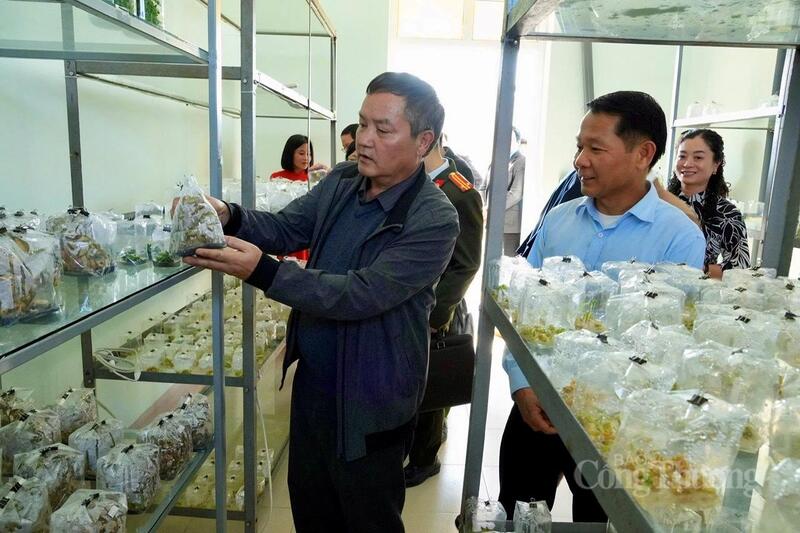 Phó Chủ tịch UBND tỉnh Giàng A Tính cùng các đại biểu tham quan Trung tâm Đổi mới sáng tạo và Chuyển đổi số.