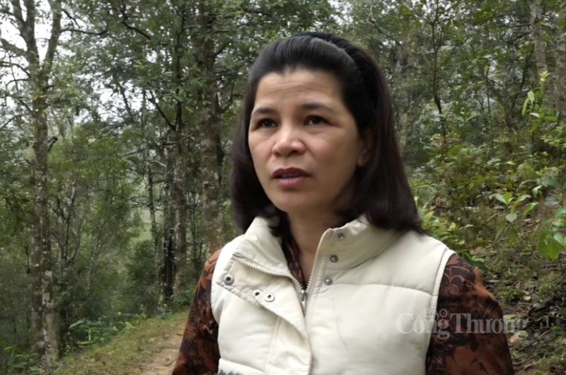 Bà Phạm Thị Giang - Giám đốc Công ty TNHH Chế biến và Xuất khẩu Nông Lâm sản Lạng Sơn.