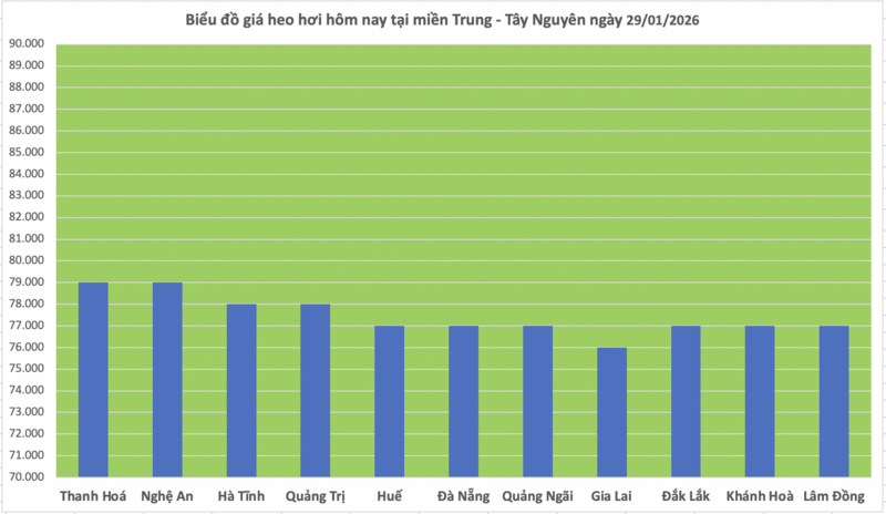 Giá heo hơi hôm nay 29/1/2026: Biến động trái chiều - 2