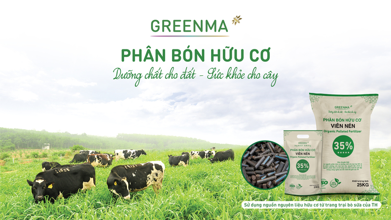 Phân bón hữu cơ Greenma sử dụng nguồn nguyên liệu hữu cơ từ trang trại bò sữa TH