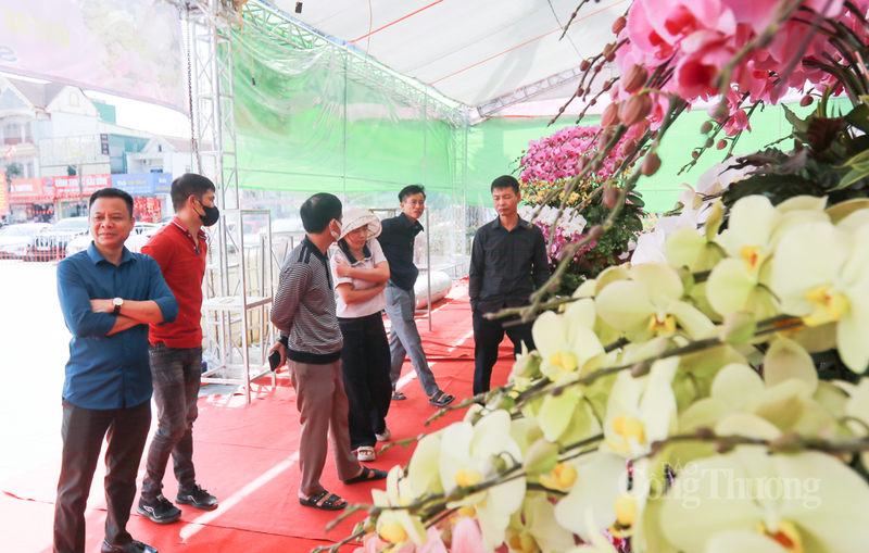 Theo ghi nhận của phóng viên Báo Công Thương, tại các điểm bán hoa lớn trên địa bàn phường Thành Sen, lượng khách đổ về tham quan và mua sắm ngày một đông.