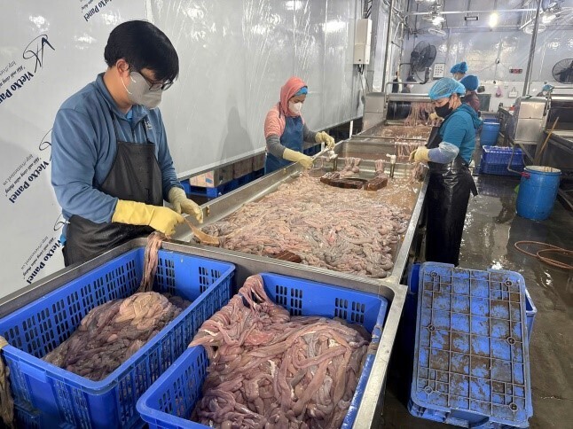 Cận cảnh kho lạnh ở Hà Nội trữ gần 60 tấn lòng lợn không rõ nguồn gốc - 7