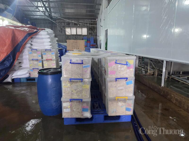 Hàng tấn thành phẩm sử dụng làm vỏ xúc xích, lạp xưởng chuẩn bị xuất ra thị trường.