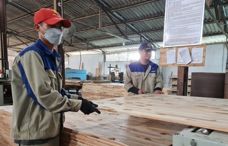 Một số doanh nghiệp sản xuất gỗ MDF ở Nghệ An gặp khó khăn trong việc chứng minh nguồn gốc. Ảnh: Nguyễn Hoàng