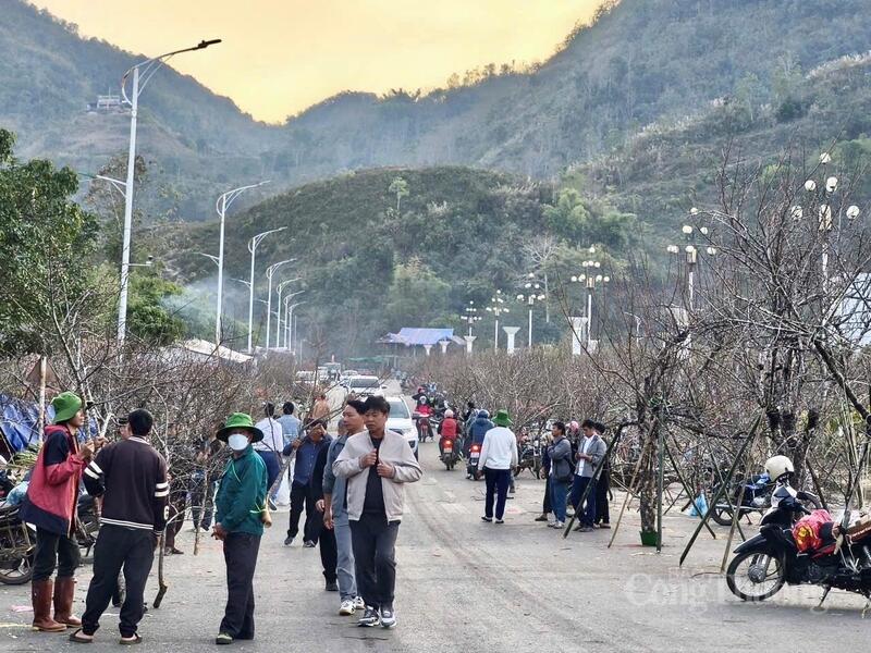 Chợ hoa dọc Đại lộ Lê Lợi, phường Tân Phong (tỉnh Lai Châu) tấp nập, rộn ràng