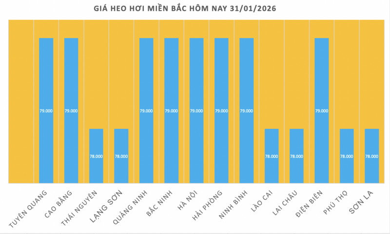 Giá heo hơi hôm nay 31/1/2026: Giảm đồng loạt tại miền Bắc - 1