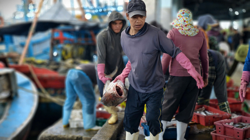 Hiện giá bán của cá ngừ đại dương, cá thu có giá khoảng 80.000 đồng/kg, cao hơn so với những ngày thường. Ảnh: Nguyễn Dương