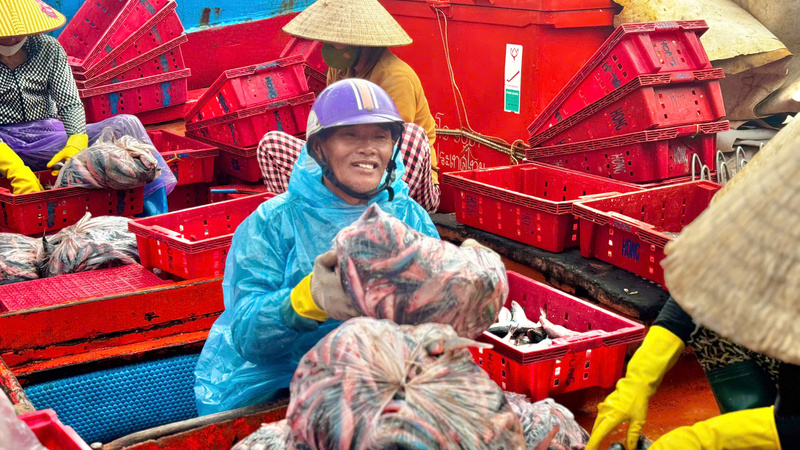 Cá được phân chia ra thành từng loại để bán cho thương lái. Ảnh: Nguyễn Dương