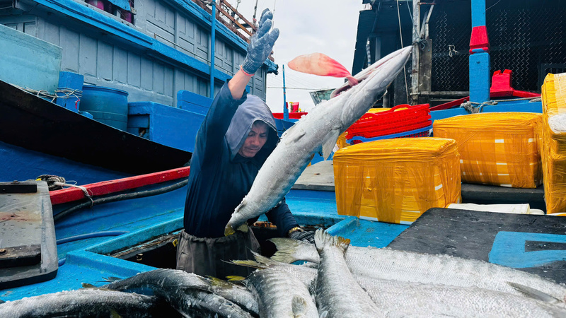 Sau khi trừ chi phí, chuyến biển kéo dài hơn 10 ngày đem lại thu nhập cho mỗi thuyền viên từ 10 triệu đồng trở lên. Ảnh: Nguyễn Dương